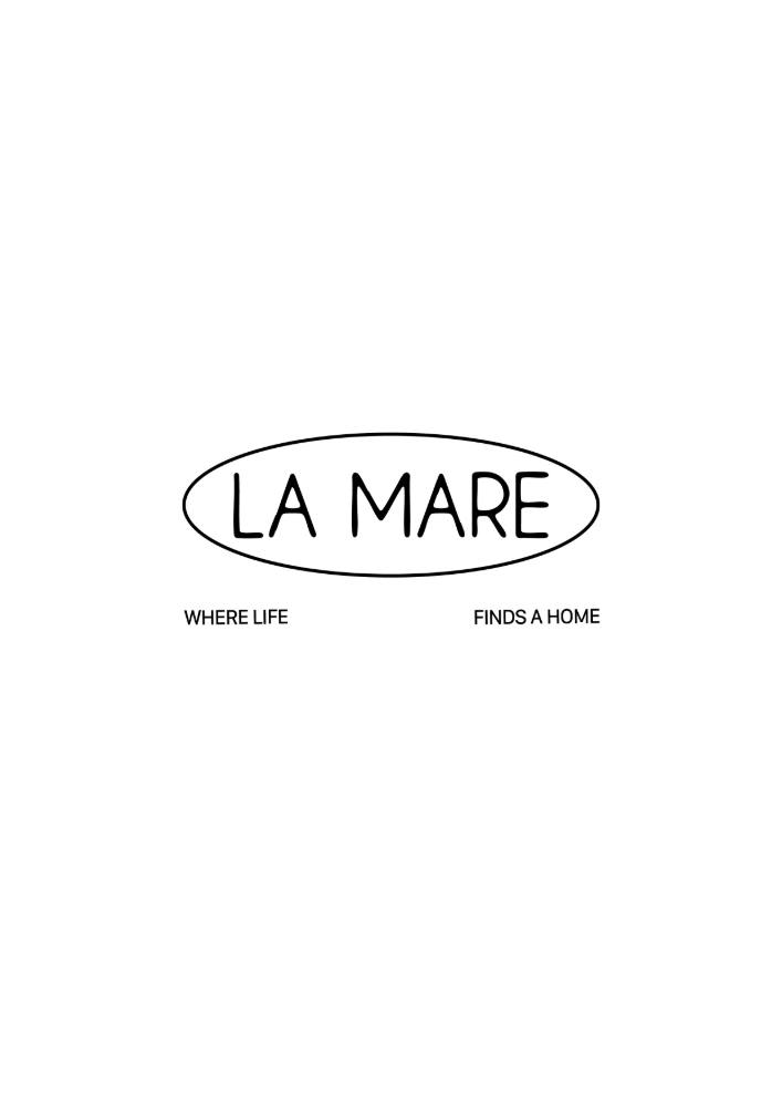 Le logo LA MARE en noir sur fond blanc : l'ovale, l'oie et la signature